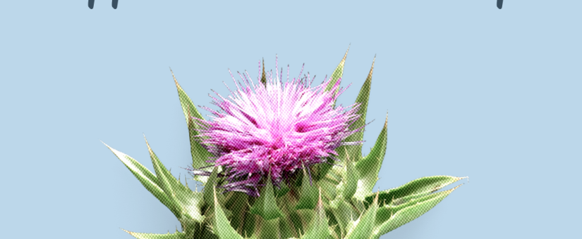 Encouraging Appreciative Leadership